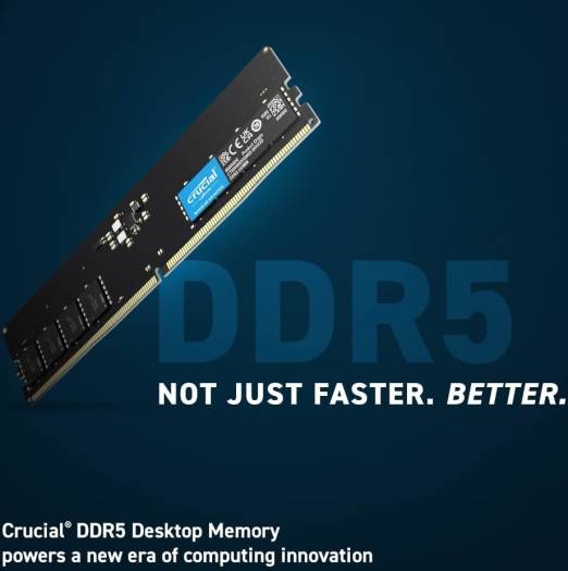 Crucial 32GB DDR5-PC5-38400 UDIMM Desktop Memory, 4800 MHz, CL40, 1.1V, Intel XMP 3.0, 288-Pin, Black | CT32G48C40U5 OneCart